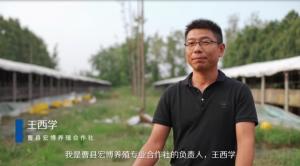 名叫王的男子是曹县洪波养殖专业合作社的负责人